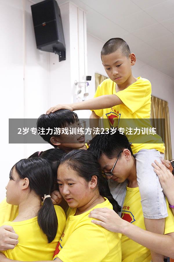 2岁专注力游戏训练方法（2-3岁专注力训练）