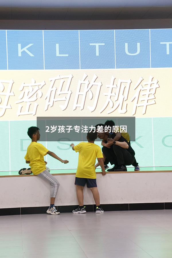 2岁孩子专注力差的原因