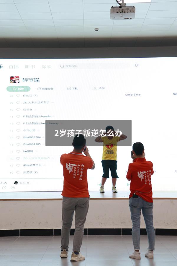 2岁孩子叛逆怎么办