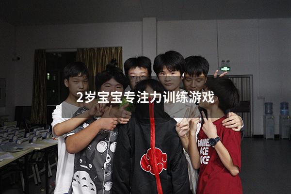 2岁宝宝专注力训练游戏