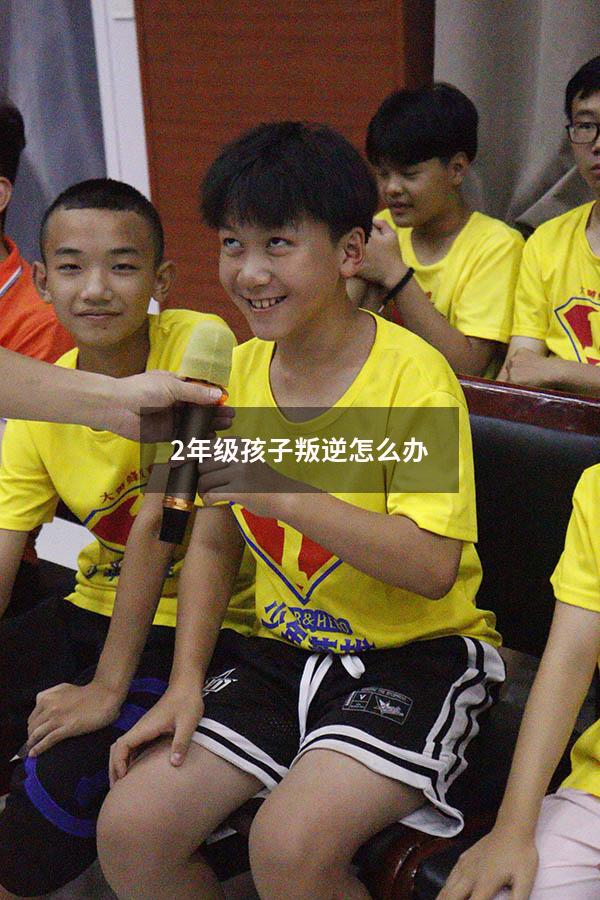 2年级孩子叛逆怎么办