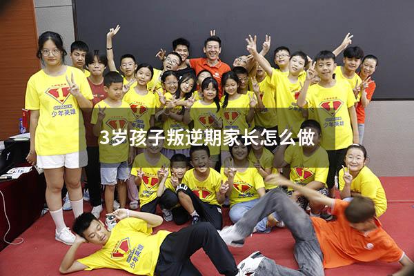 3岁孩子叛逆期家长怎么做（13岁孩子叛逆期家长怎么做）