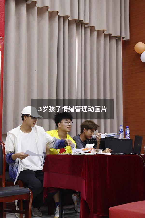 3岁孩子情绪管理动画片