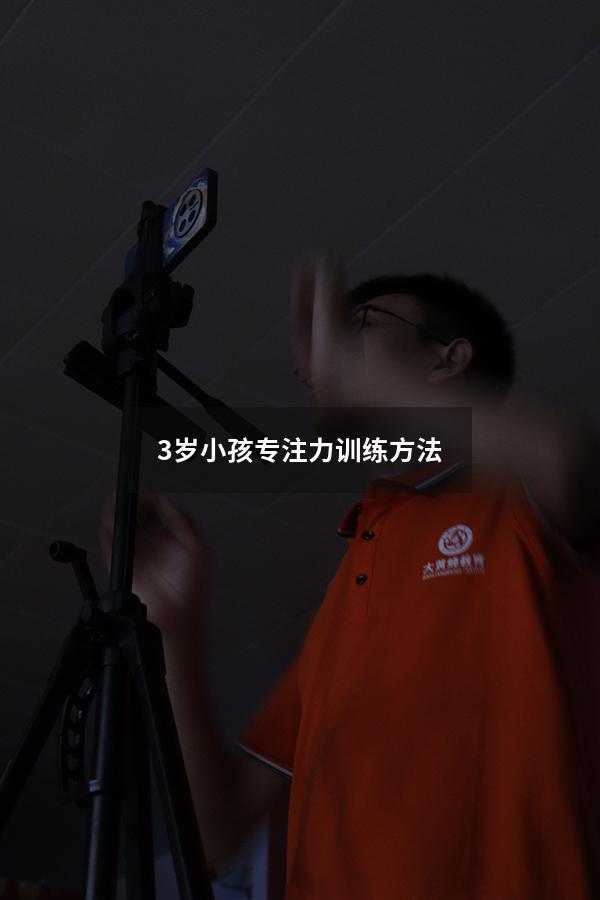 3岁小孩专注力训练方法