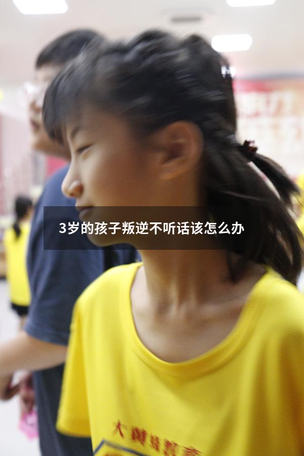 3岁的孩子叛逆不听话该怎么办（3岁小孩不顺着他就发脾气）
