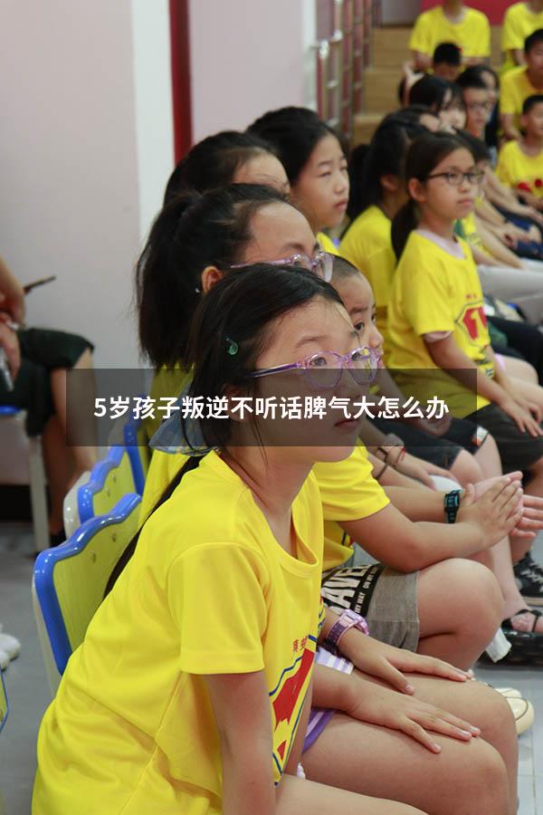 5岁孩子叛逆不听话脾气大怎么办（孩子玩手机叛逆不听话）