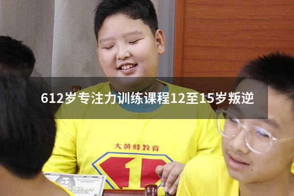 6-12岁专注力训练课程12-15岁叛逆（如何训练孩子的专注力集中12岁）