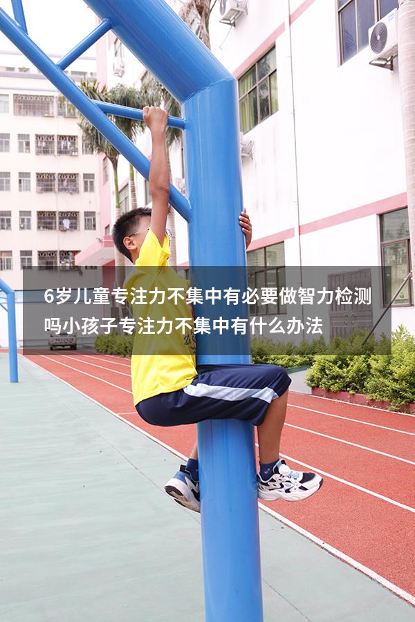 6岁儿童专注力不集中有必要做智力检测吗（小孩子专注力不集中有什么办法）