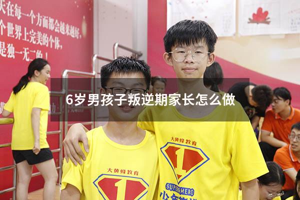 6岁男孩子叛逆期家长怎么做