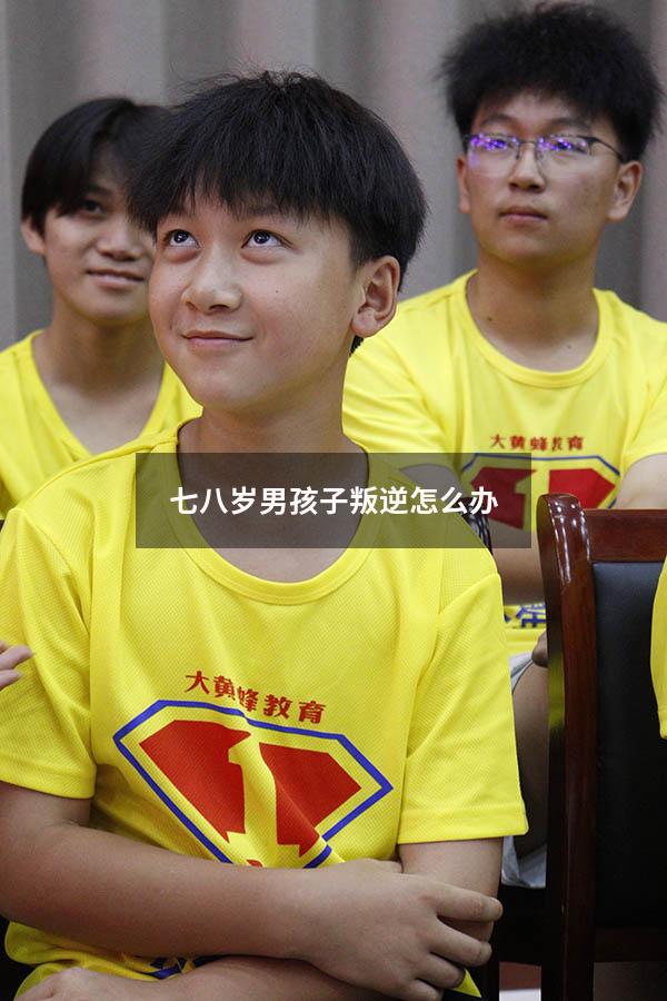 七八岁男孩子叛逆怎么办
