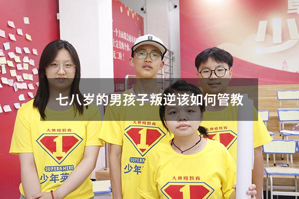 七八岁的男孩子叛逆该如何管教