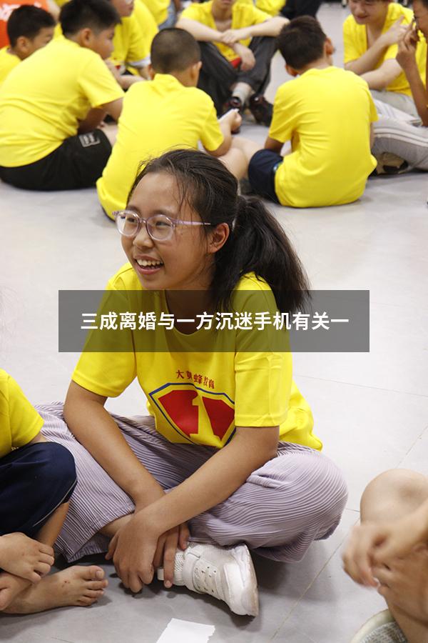 三成离婚与一方沉迷手机有关一