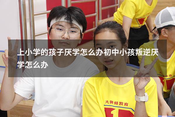 上小学的孩子厌学怎么办（初中小孩叛逆厌学怎么办）