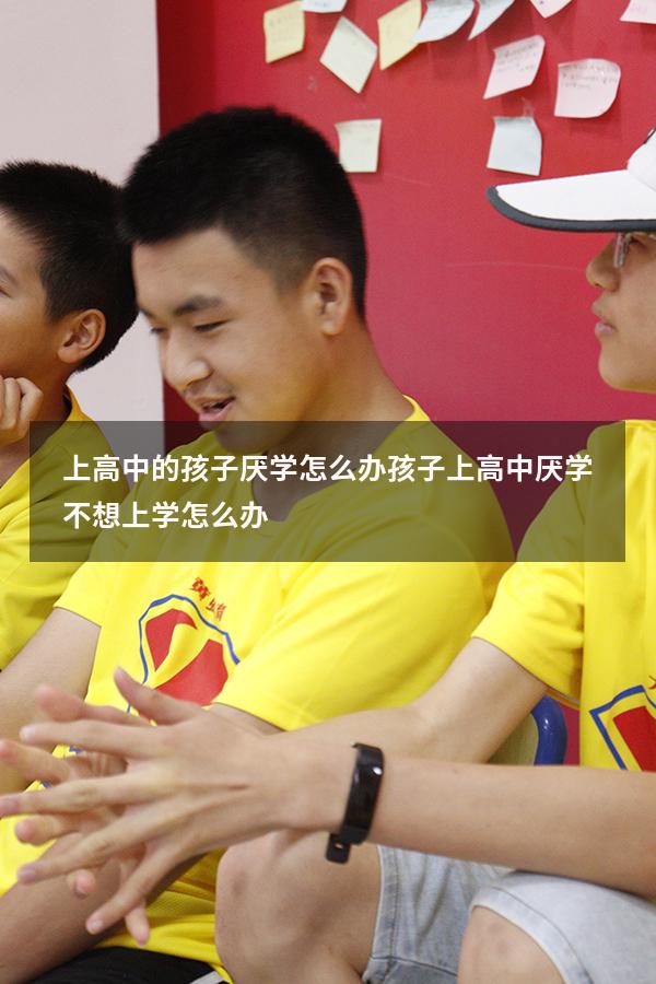 上高中的孩子厌学怎么办（孩子上高中厌学,不想上学怎么办）