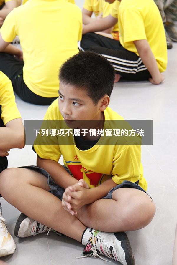 下列哪项不属于情绪管理的方法
