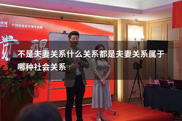 不是夫妻关系什么关系都是（夫妻关系属于哪种社会关系）