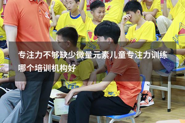 专注力不够缺少微量元素（儿童专注力训练哪个培训机构好）