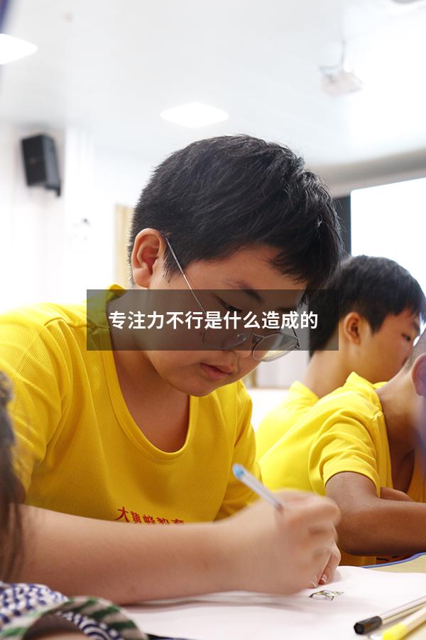 专注力不行是什么造成的