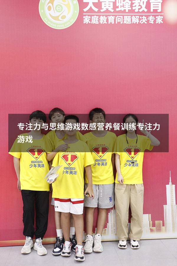专注力与思维游戏数感营养餐（训练专注力游戏）