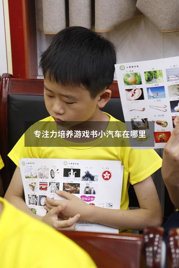 专注力培养游戏书小汽车在哪里