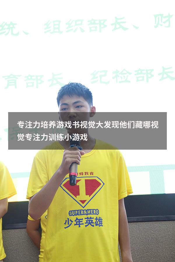 专注力培养游戏书视觉大发现他们藏哪（视觉专注力训练小游戏）