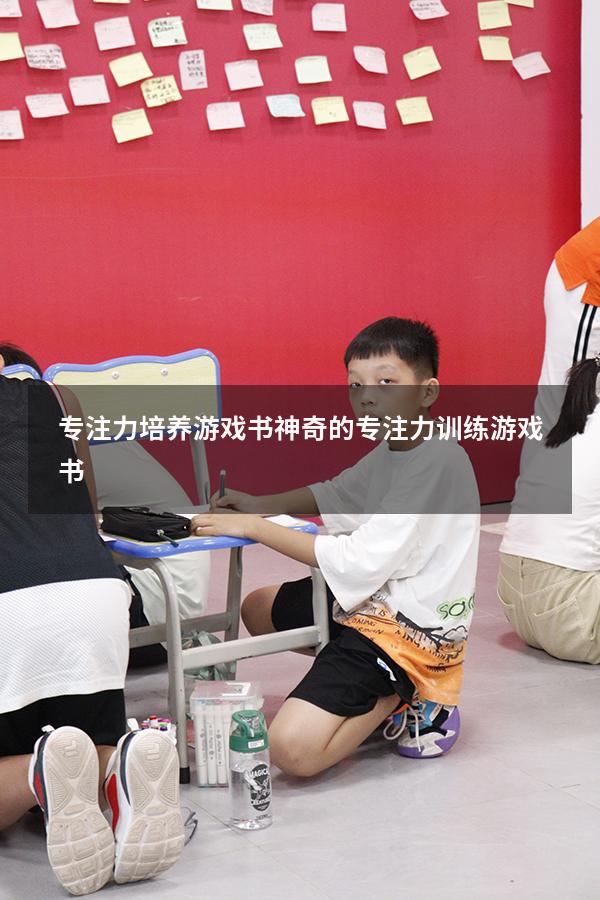 专注力培养游戏书（神奇的专注力训练游戏书）