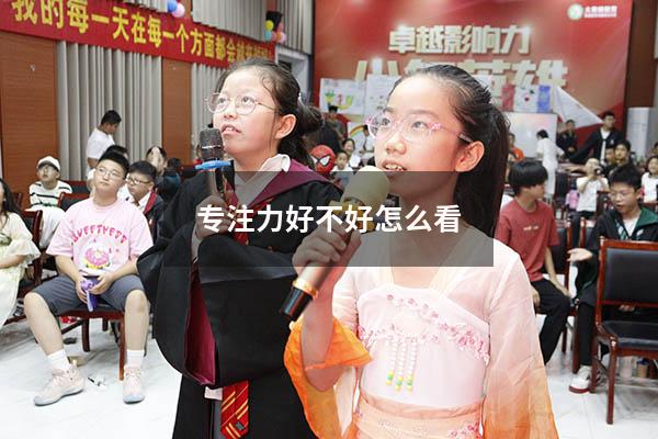 专注力好不好怎么看