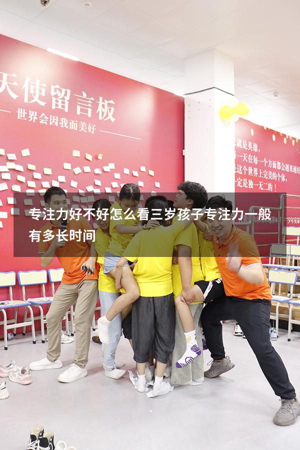 专注力好不好怎么看（三岁孩子专注力一般有多长时间）