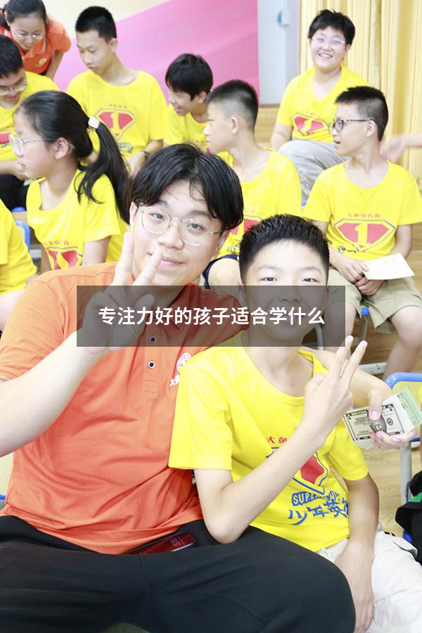 专注力好的孩子适合学什么