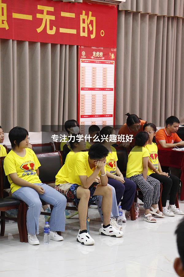 专注力学什么兴趣班好