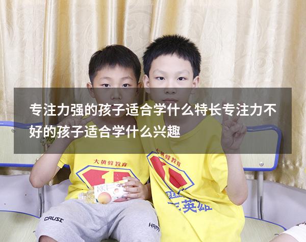 专注力强的孩子适合学什么特长（专注力不好的孩子适合学什么兴趣）