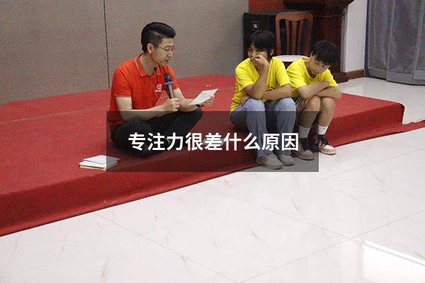 专注力很差什么原因