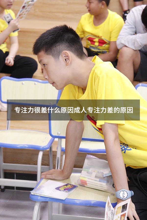 专注力很差什么原因（成人专注力差的原因）