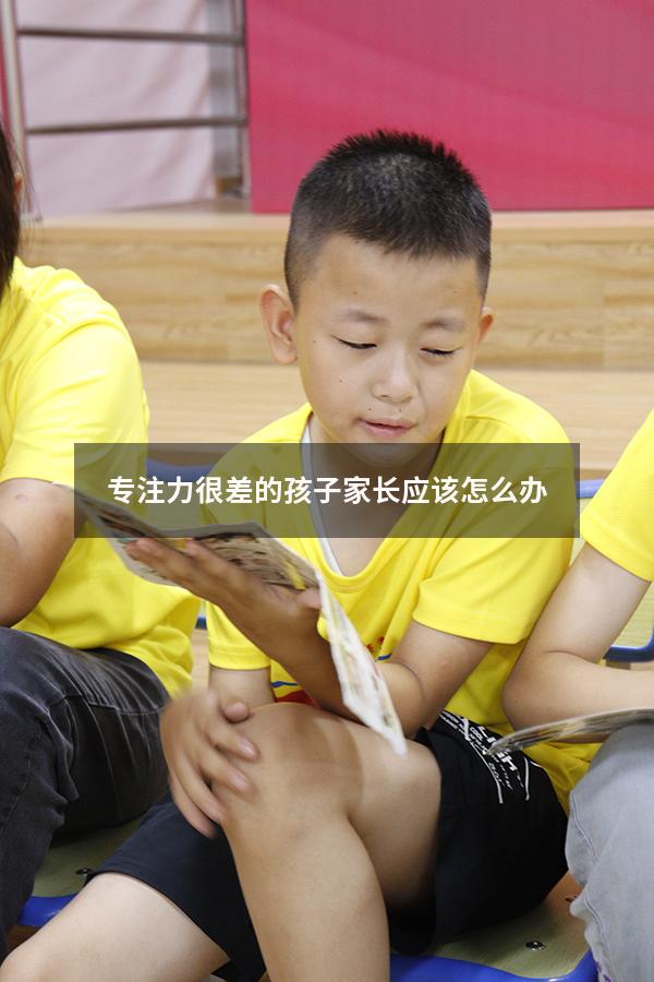 专注力很差的孩子家长应该怎么办
