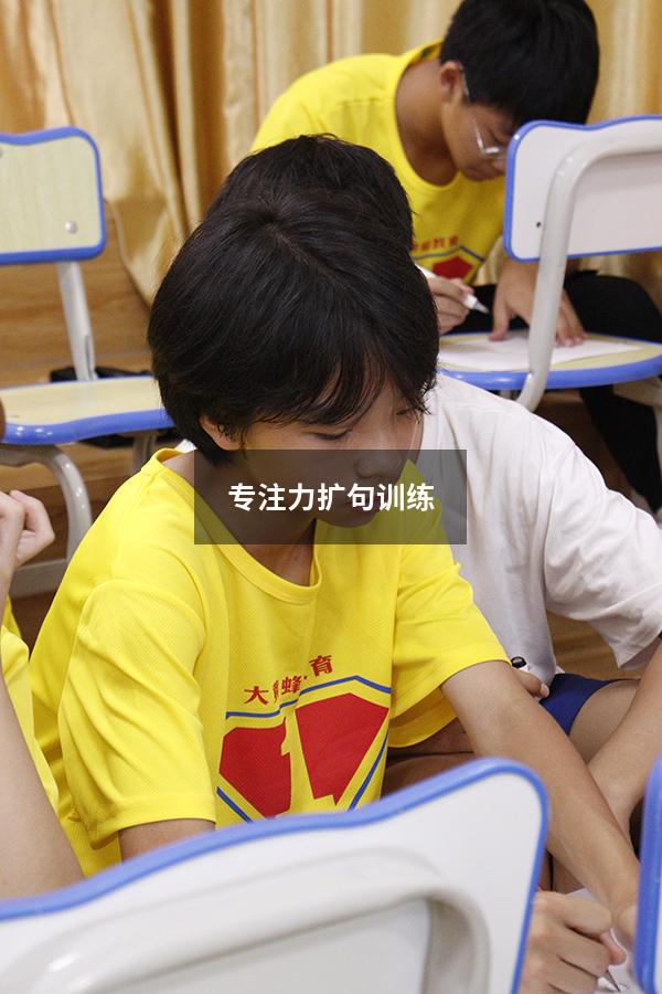 专注力扩句训练