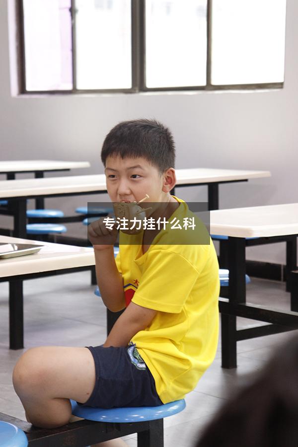 专注力挂什么科