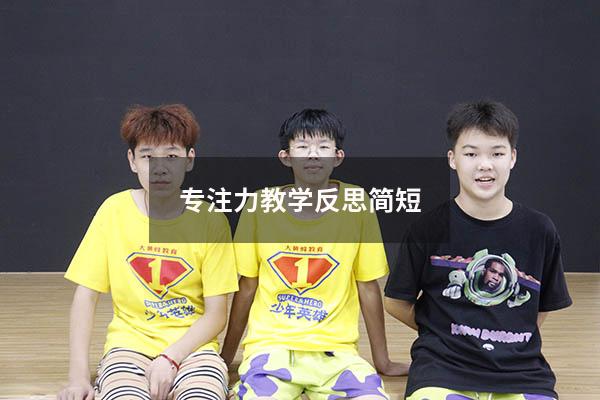 专注力教学反思简短
