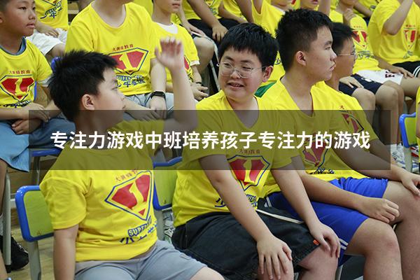 专注力游戏中班（培养孩子专注力的游戏）