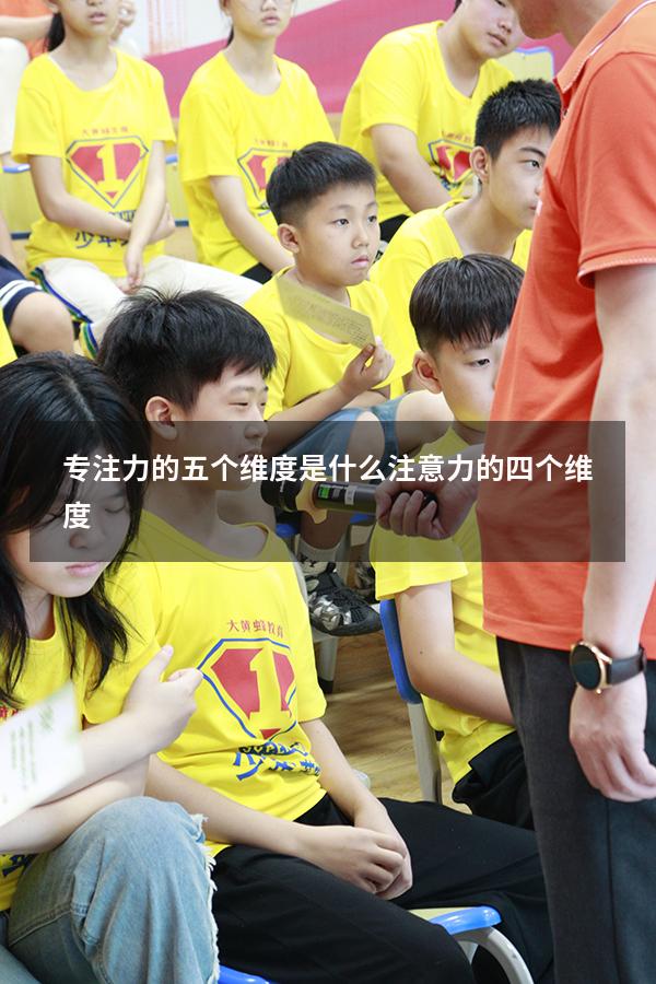 专注力的五个维度是什么（注意力的四个维度）