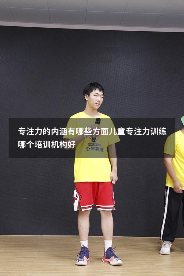 专注力的内涵有哪些方面（儿童专注力训练哪个培训机构好）