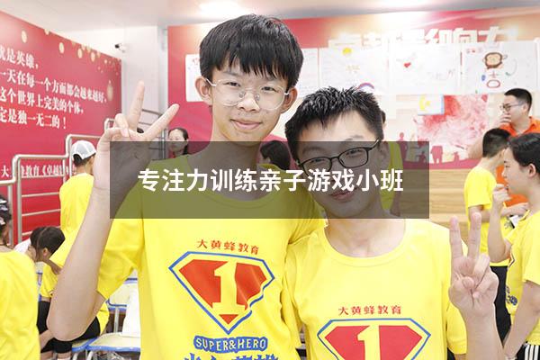 专注力训练亲子游戏小班