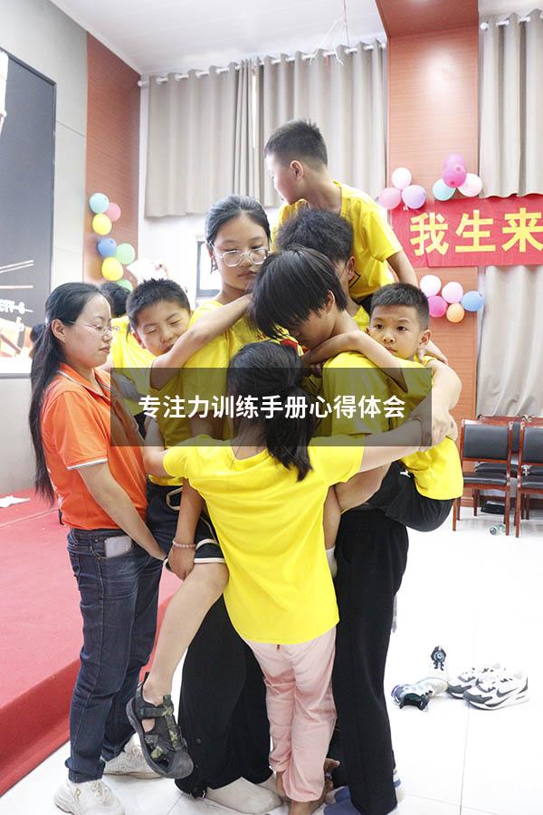 专注力训练手册心得体会