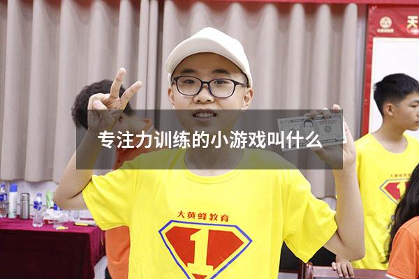 专注力训练的小游戏叫什么