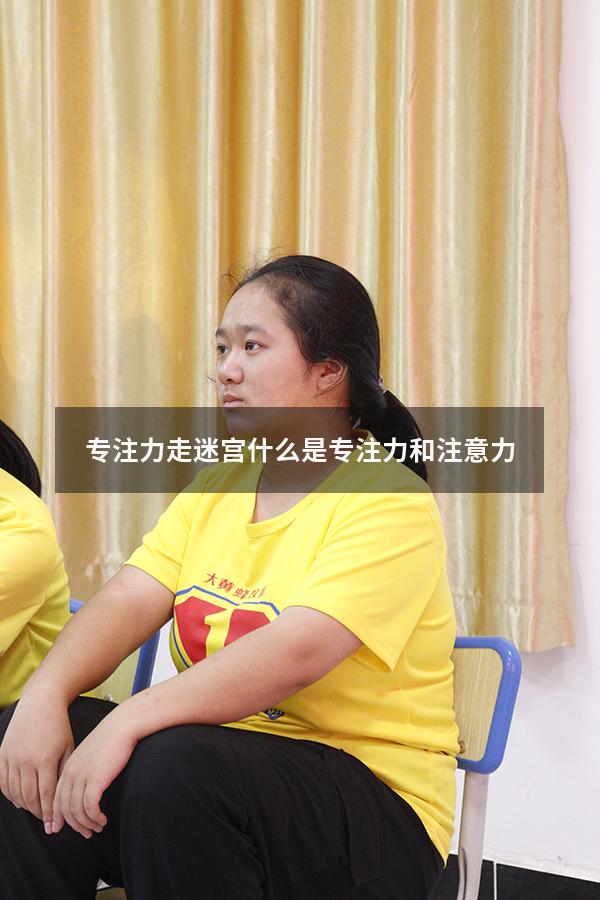 专注力走迷宫（什么是专注力和注意力）