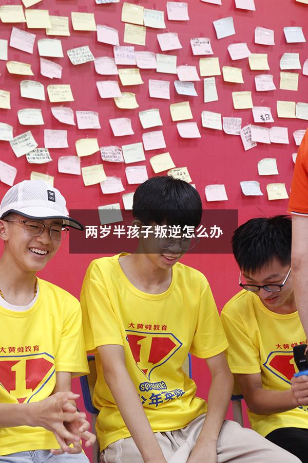 两岁半孩子叛逆怎么办
