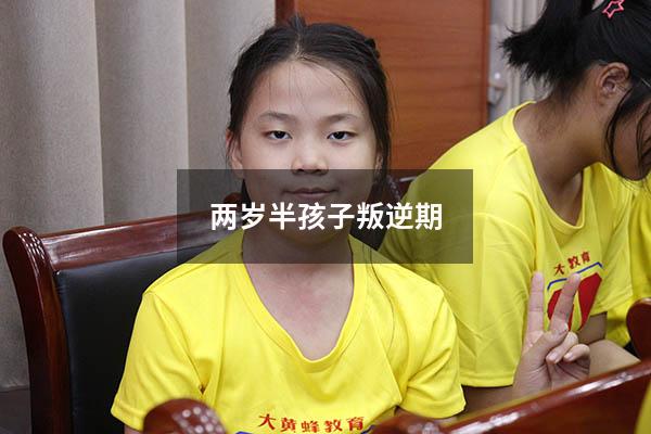 两岁半孩子叛逆期