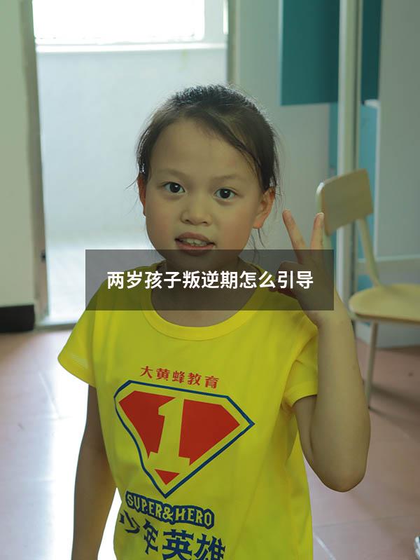 两岁孩子叛逆期怎么引导