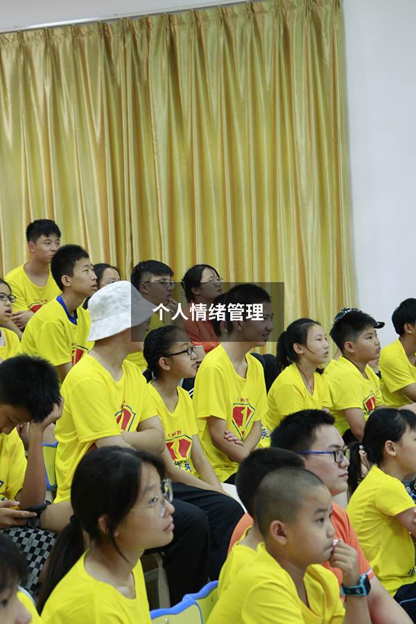 个人情绪管理