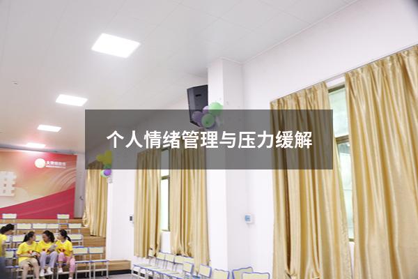 个人情绪管理与压力缓解