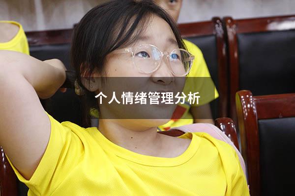 个人情绪管理分析